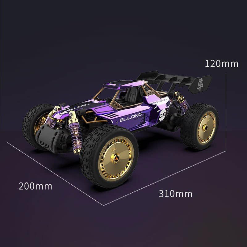 SULONG Fast Dragon 1:14 Purple High-Speed Alloy RC Car – Diecast Metal Drift Buggy with 2.4G Remote Control (Purple Edition)